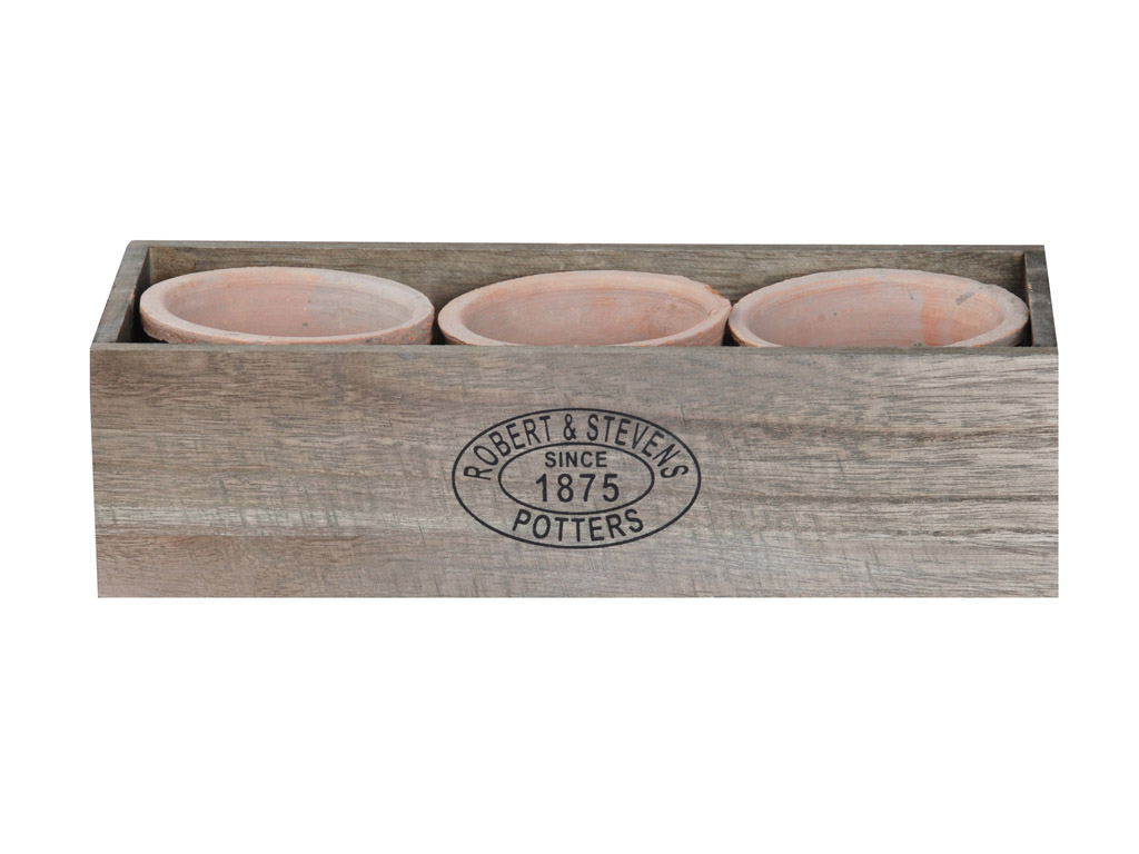 3 Terracotta Töpfchen im Holzkasten