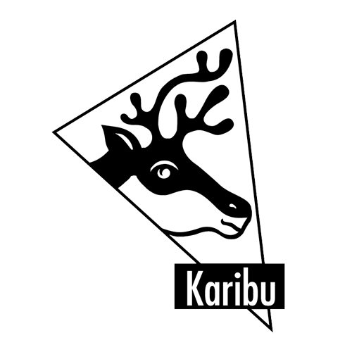 Karibu 19 mm Gartenhaus Askola 2