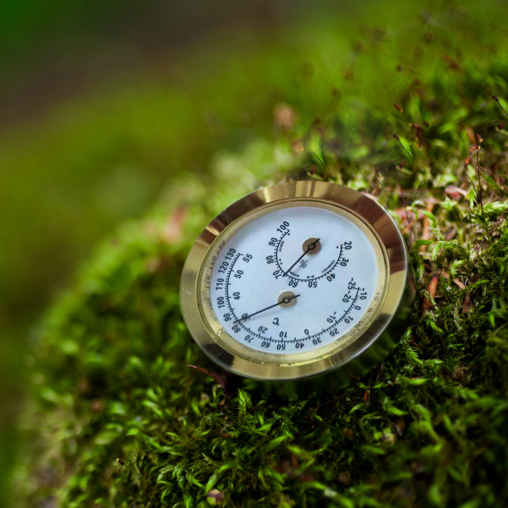 Vitavia Hygrometer für Gewächshäuser